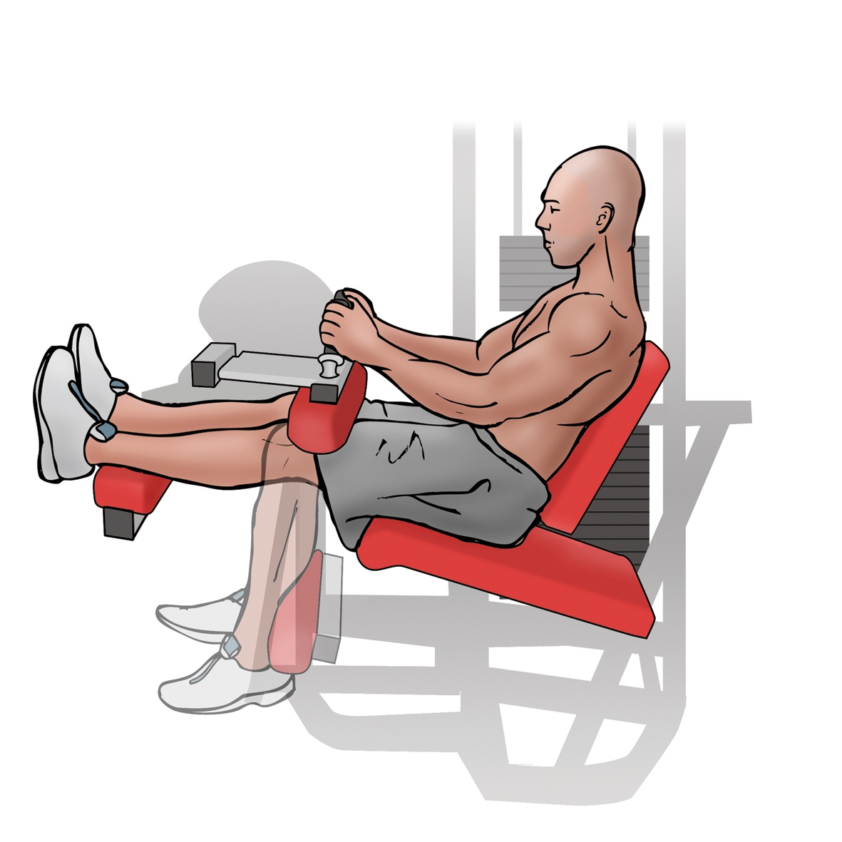 d) Seated hamstring curls