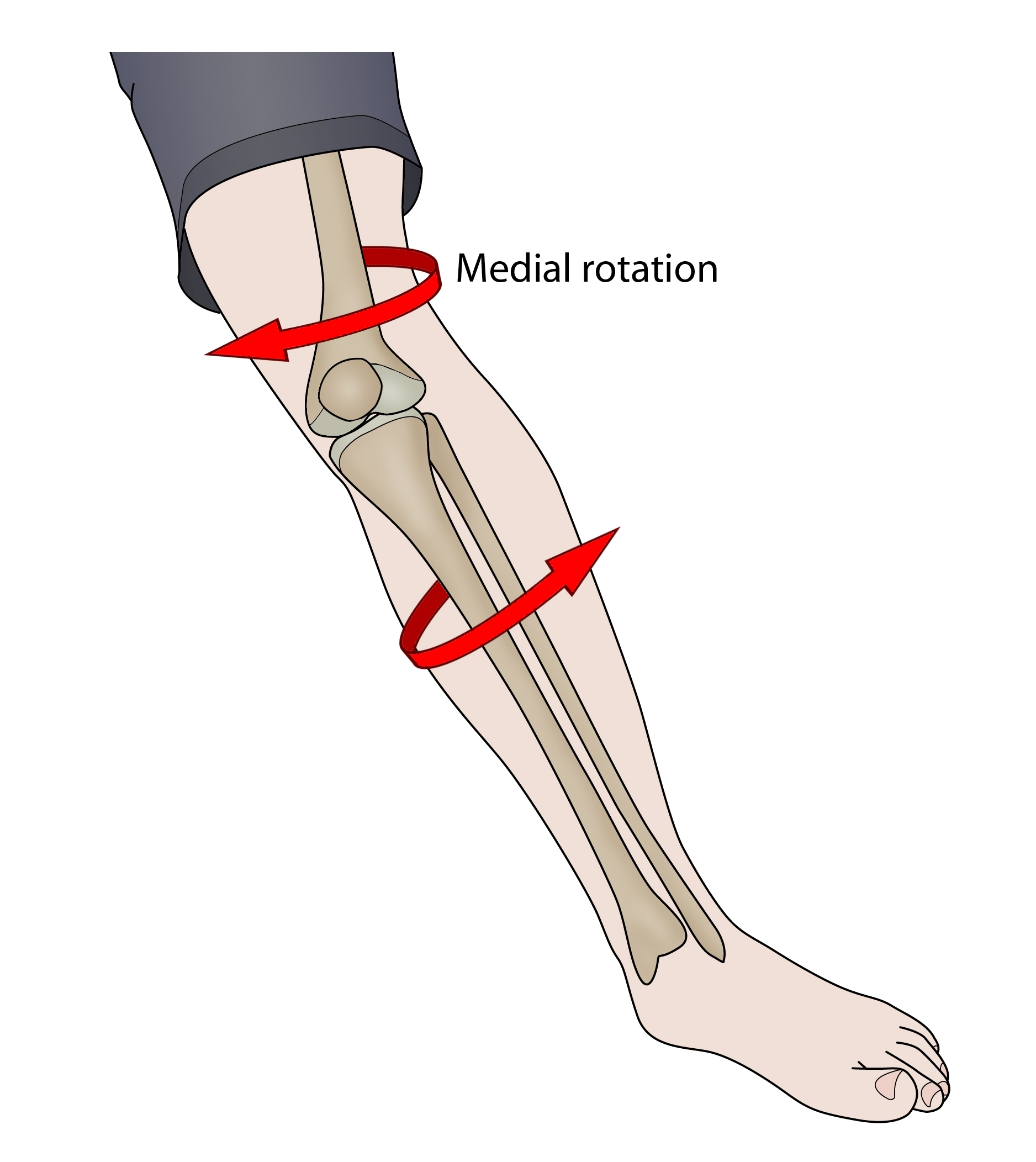 The knee is flexed and rotated inwards (medially) to the hip and ankle and the knee goes over the ankle to the point of no return.