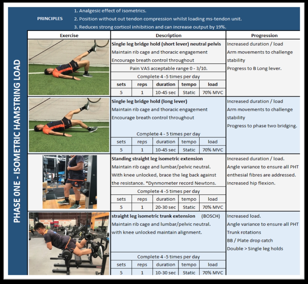 Sports Injury Bulletin Anatomy Proximal Hamstring Tendinopathy A challenge for athletes and clinicians