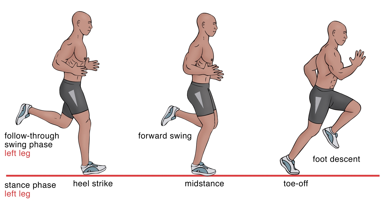 Figure 2: The phases of a running pattern